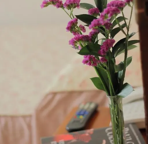 Hotel Abadi *